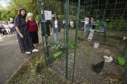 Agrandir l'image, fenêtre modale