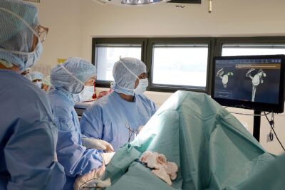 Agrandir l'image 1 sur 3, fenêtre modale