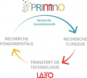 cercle recherche fondamentale - clinique- transfert