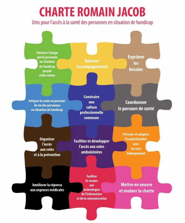 le visuel de la charte les pièces d'un puzzle en couleur
